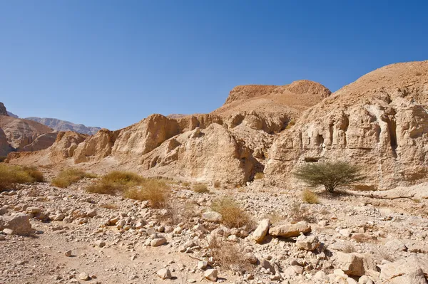 Naturschutzgebiet — Stockfoto