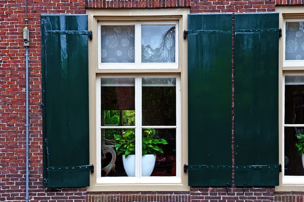 Green Shutters — Stock Photo, Image