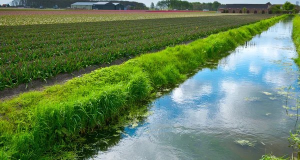 Canale di irrigazione — Foto Stock