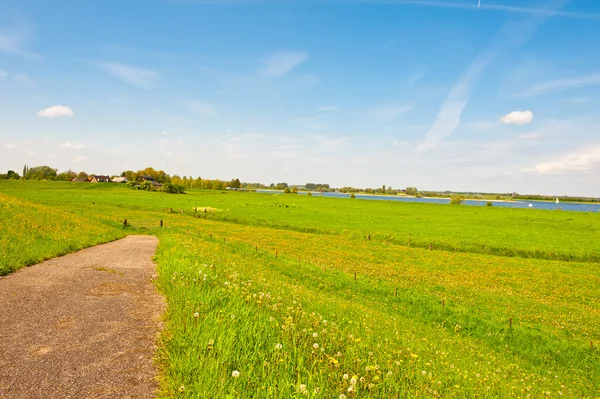 Floodplain — Stock Photo, Image