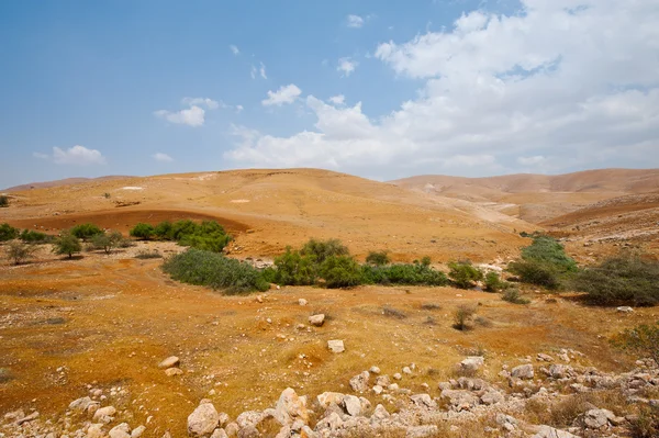 West Bank — Stock Photo, Image