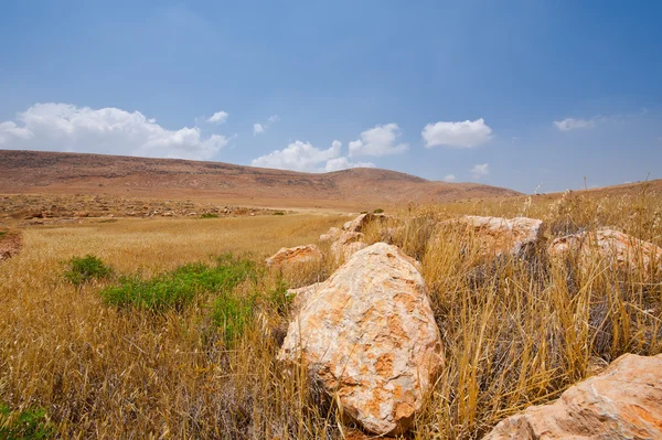 Büyük taşlar — Stok fotoğraf