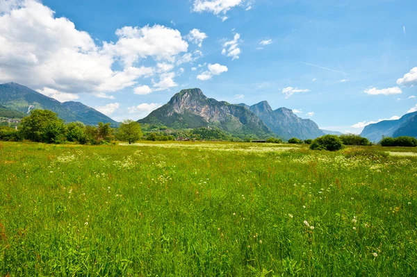 Alpi italiane — Foto Stock