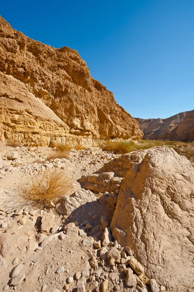 Piedra grande — Foto de Stock