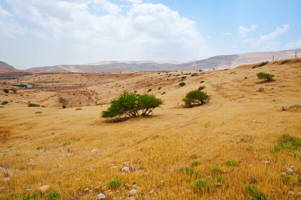 Meandering Road