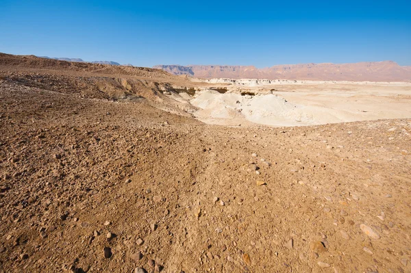 Desert — Stock Photo, Image