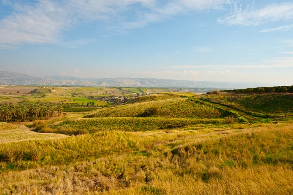 Verdorde gras — Stockfoto