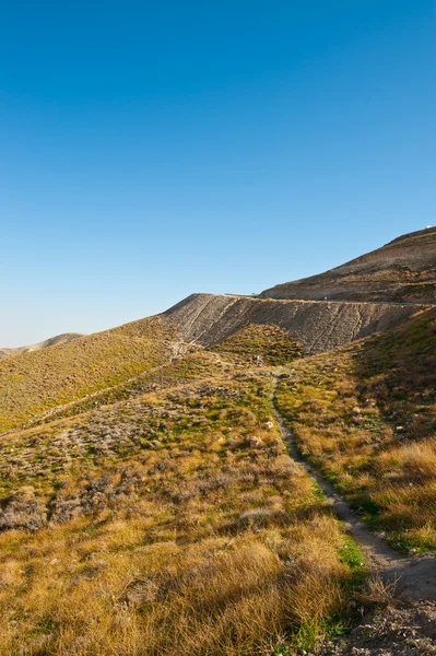 Meandering Road — Stock Photo, Image