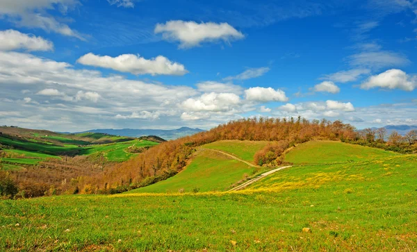 Bauernhöfe — Stockfoto