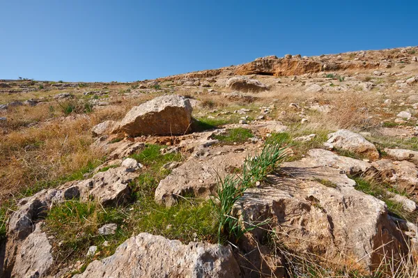 Judean Mountains — Stock Photo, Image