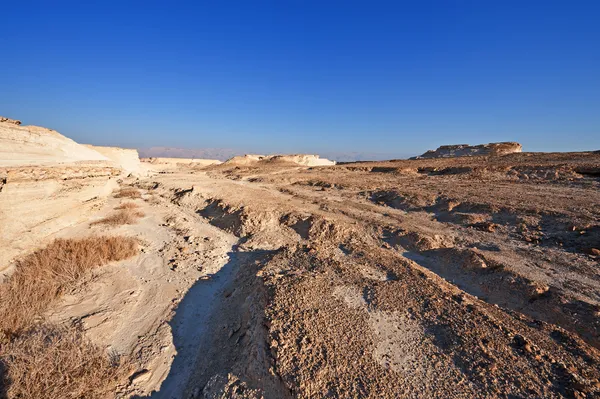 Desert — Stock Photo, Image