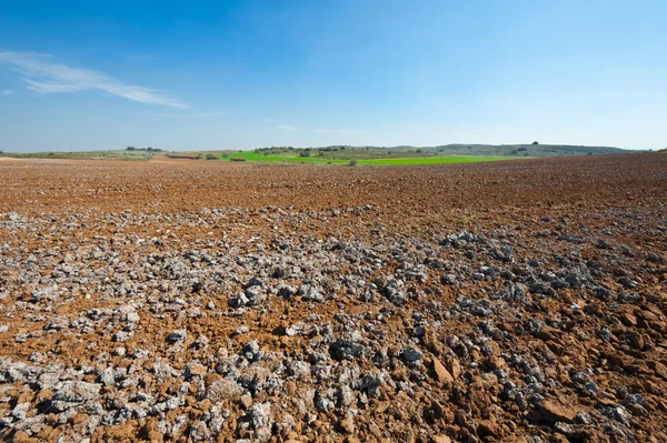 Heiliges Land — Stockfoto