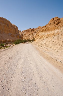 yol boyunca Kanyonu