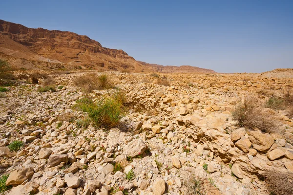 Paisagem rochosa — Fotografia de Stock