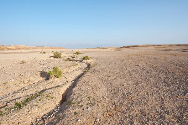 Deserto — Foto Stock