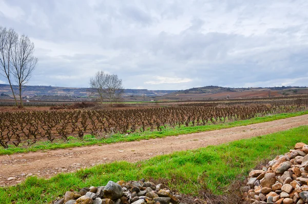 Early Spring — Stock Photo, Image