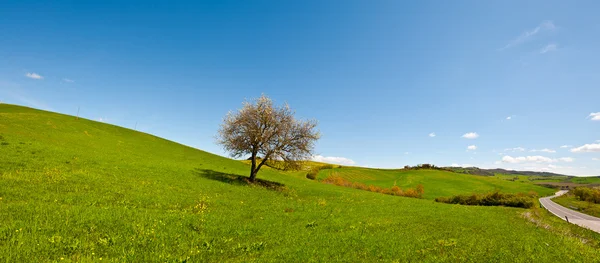 Toskana Bauernhaus — Stockfoto