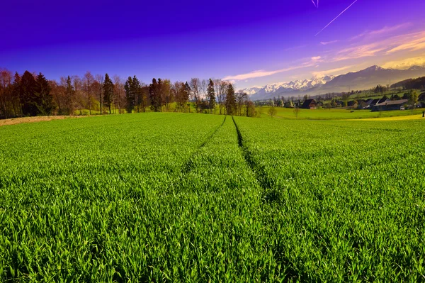 Swiss zonsopgang — Stockfoto