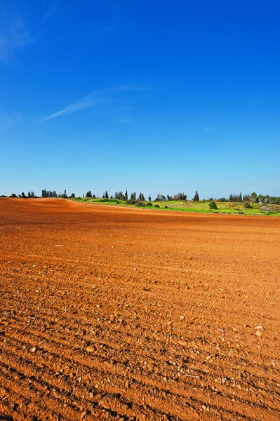 Schlechter Boden — Stockfoto