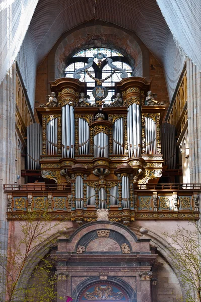 Organ — Stock Photo, Image