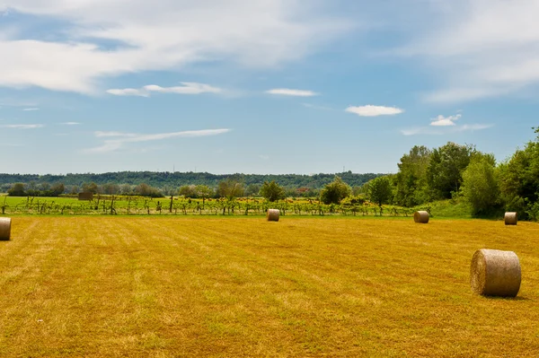 Landskap i Toscana — Stockfoto