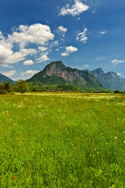 Valley — стоковое фото