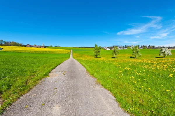 Strada rurale — Foto Stock