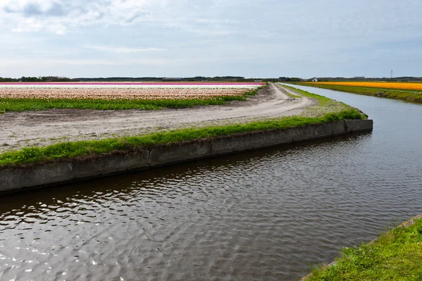 Bewässerungskanal — Stockfoto