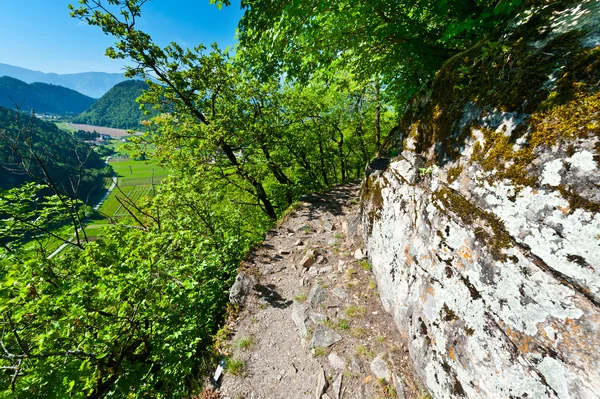 Yürüyüş yolu — Stok fotoğraf