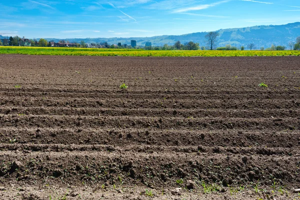 Äcker gepflügt — Stockfoto