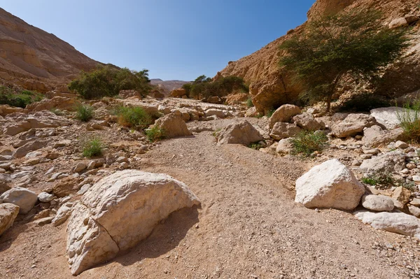 Boulder — Stockfoto