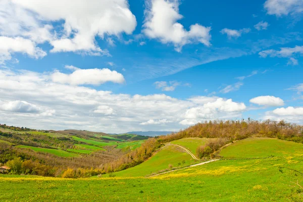 Prados de Toscana — Foto de Stock