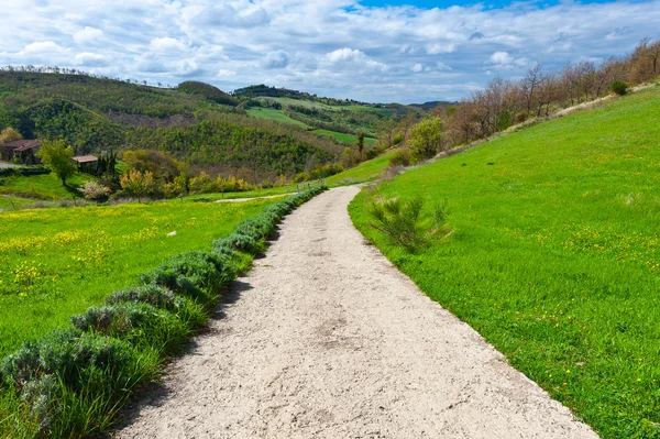 Feldweg — Stockfoto