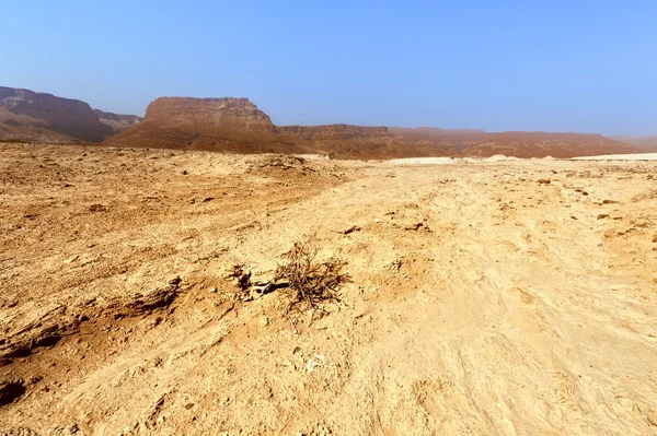 Deserto — Fotografia de Stock