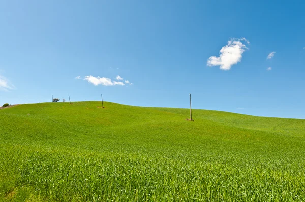 Linea elettrica — Foto Stock