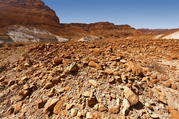 Mittelmeerwüste — Stockfoto