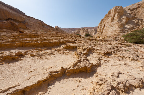 Средиземная пустыня
