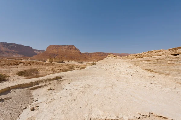 Средиземная пустыня — стоковое фото