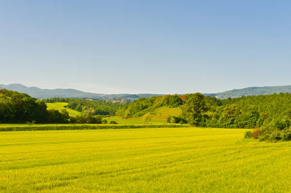 Campos e montanhas — Fotografia de Stock