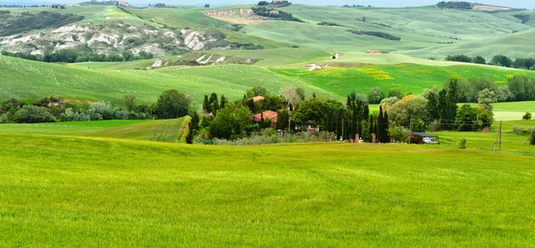 Casa rural y verdes prados inclinados de la Toscana — Foto de Stock