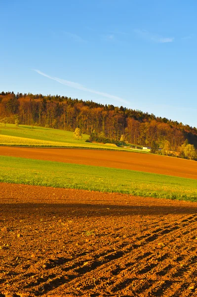 Goedemorgen. — Stockfoto