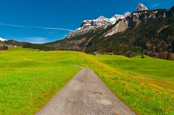 Swiss yol — Stok fotoğraf