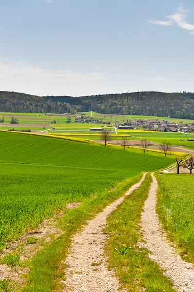 Onverharde weg — Stockfoto