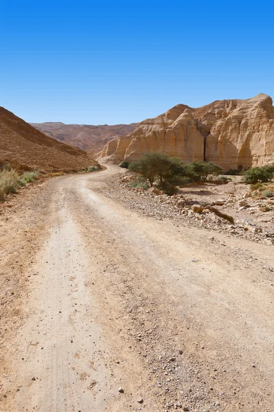 Naturaleza salvaje — Foto de Stock