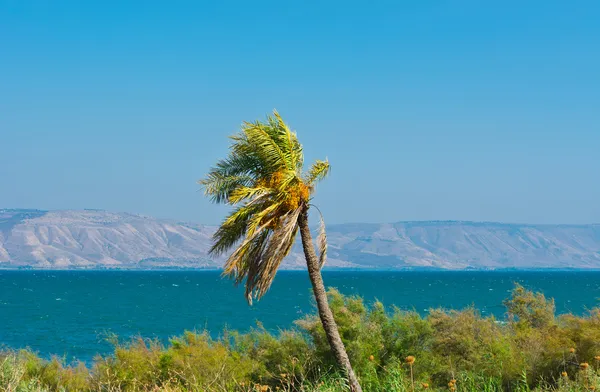Mare di Galilea — Foto Stock