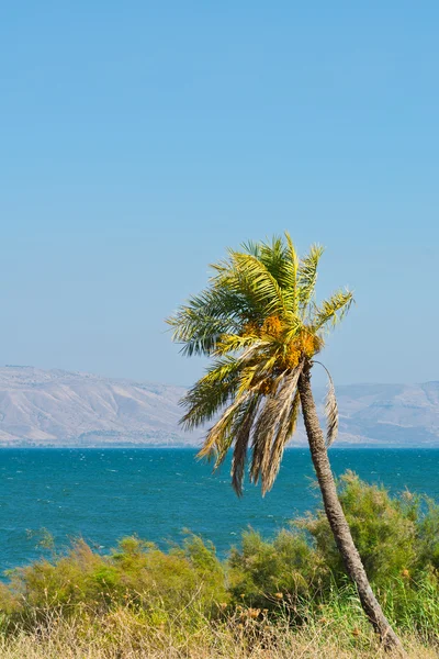 Zee van Galilea — Stockfoto