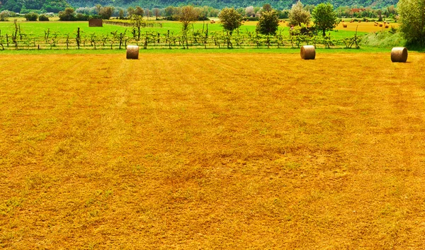 Landskap — Stockfoto