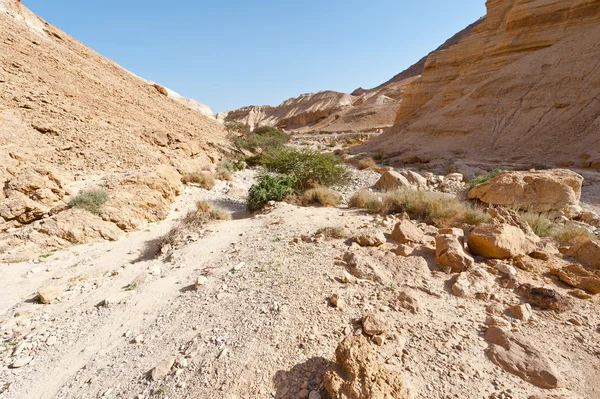 Riverbed — Stock Photo, Image