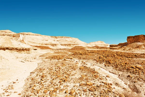 Desert — Stock Photo, Image