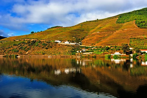 Ποταμού douro — Φωτογραφία Αρχείου